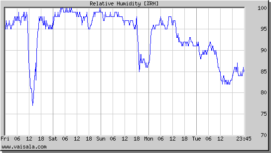 Relative Humidity