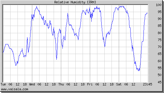 Relative Humidity