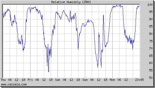 Relative Humidity