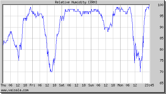 Relative Humidity