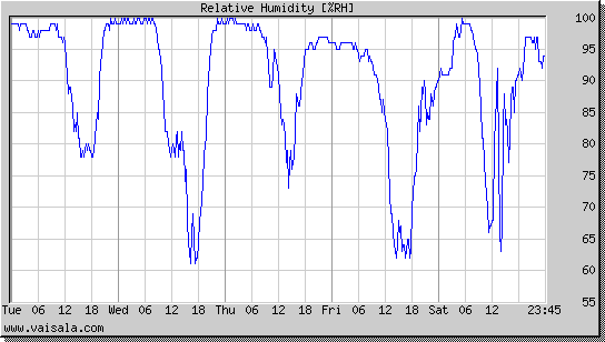 Relative Humidity