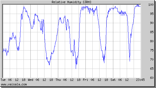 Relative Humidity