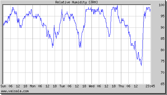 Relative Humidity