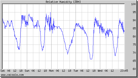 Relative Humidity