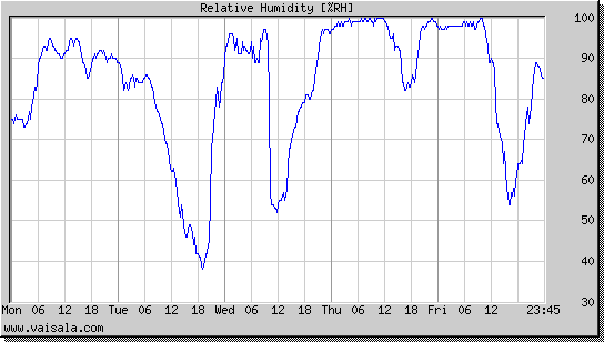 Relative Humidity