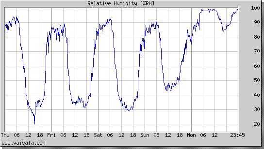 Relative Humidity