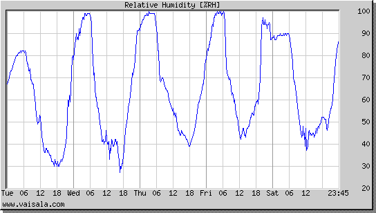 Relative Humidity