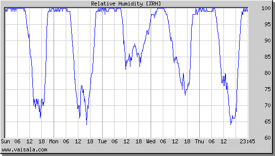 Relative Humidity