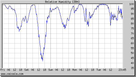 Relative Humidity