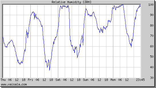 Relative Humidity