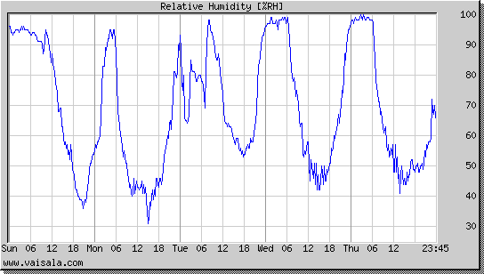 Relative Humidity