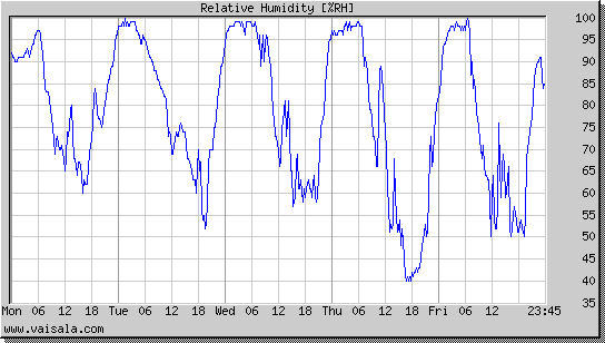 Relative Humidity