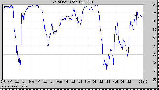 Relative Humidity