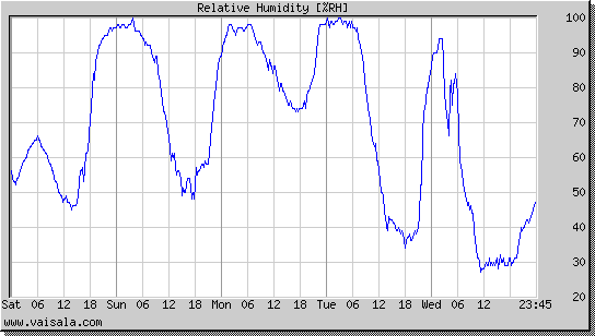 Relative Humidity