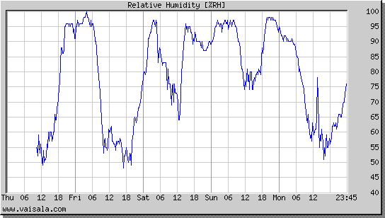 Relative Humidity