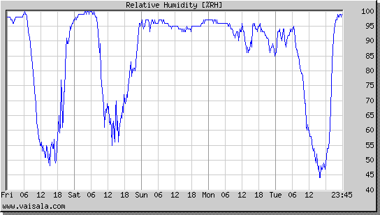 Relative Humidity