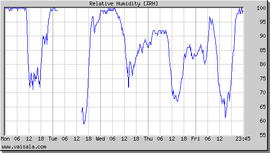 Relative Humidity