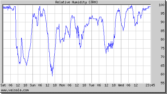 Relative Humidity