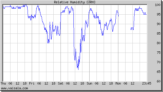 Relative Humidity