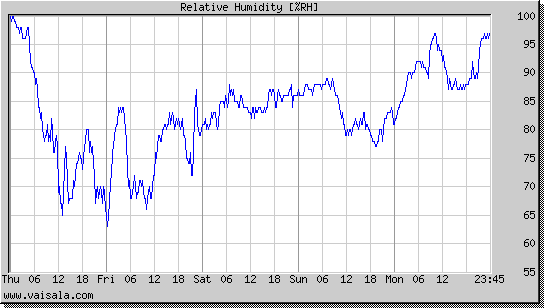 Relative Humidity