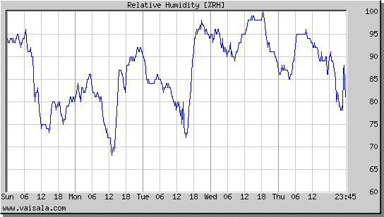 Relative Humidity