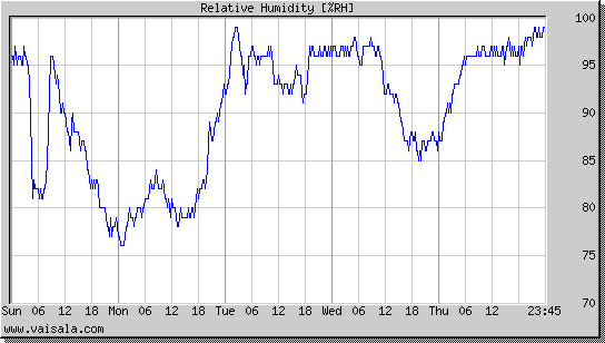 Relative Humidity