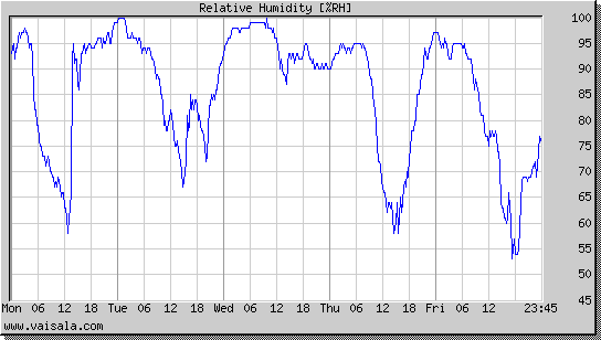 Relative Humidity