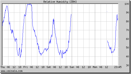 Relative Humidity