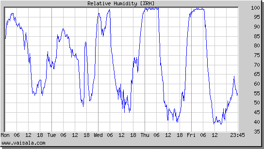 Relative Humidity