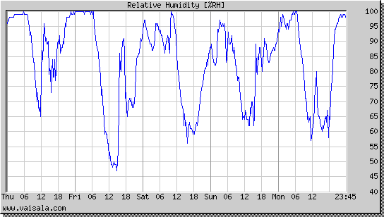 Relative Humidity