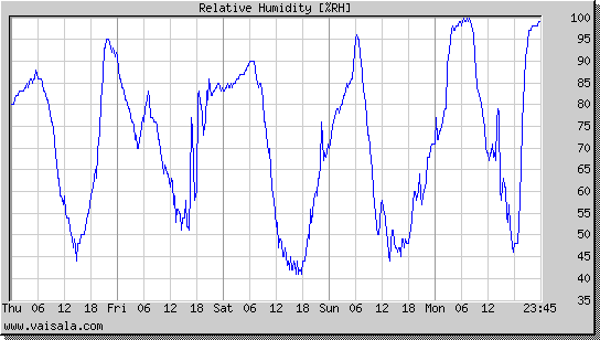 Relative Humidity