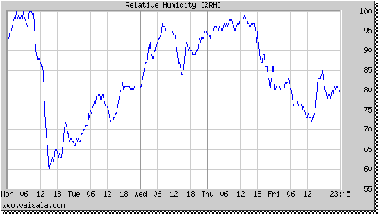 Relative Humidity