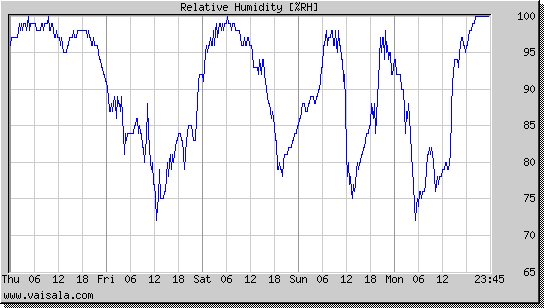 Relative Humidity