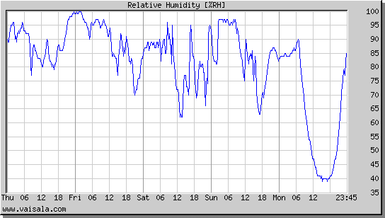 Relative Humidity