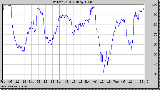 Relative Humidity