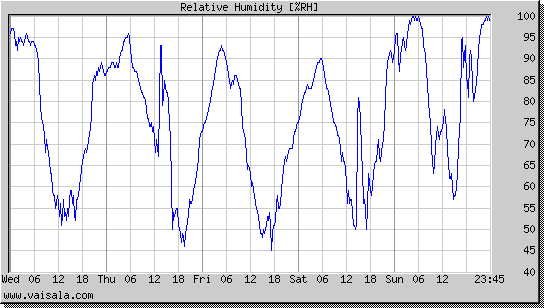 Relative Humidity