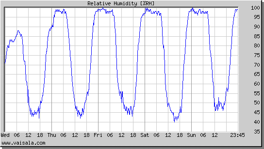 Relative Humidity