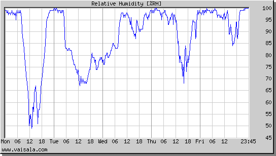 Relative Humidity