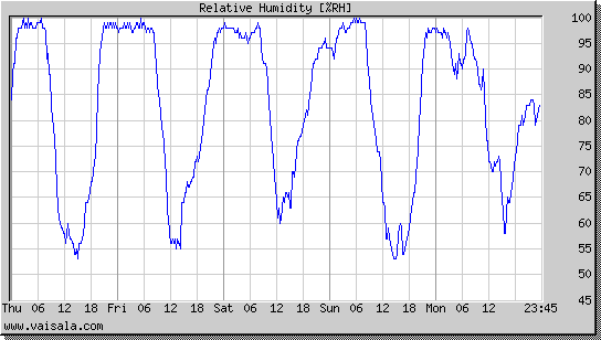 Relative Humidity