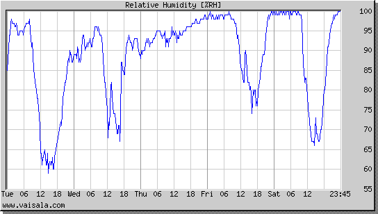 Relative Humidity