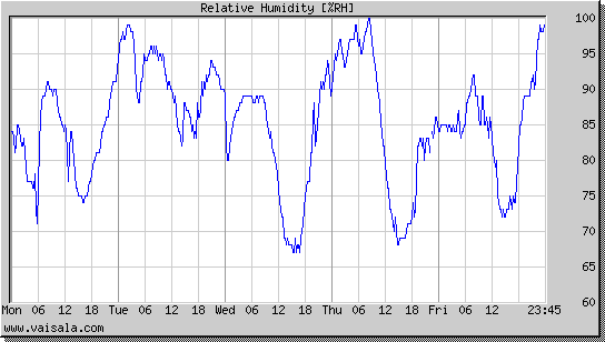 Relative Humidity