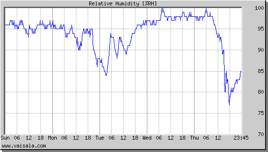 Relative Humidity