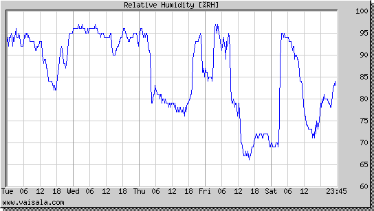 Relative Humidity