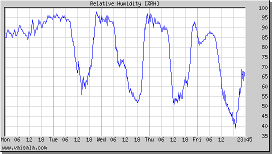 Relative Humidity