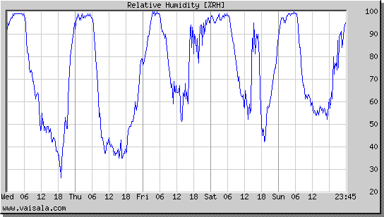 Relative Humidity