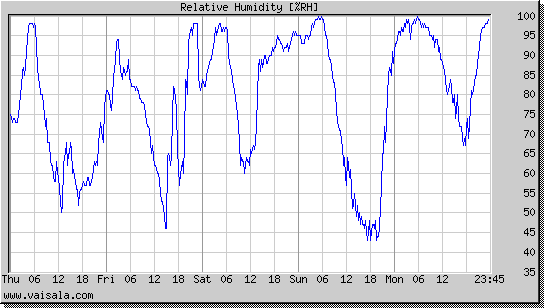 Relative Humidity