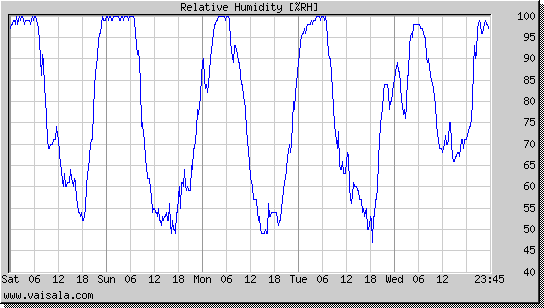 Relative Humidity