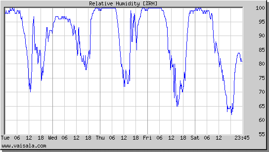 Relative Humidity