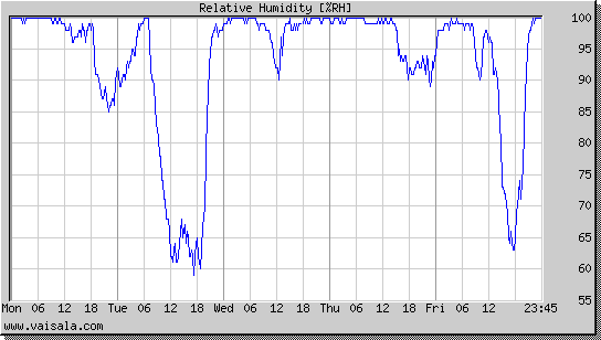 Relative Humidity