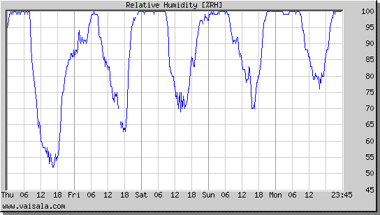 Relative Humidity